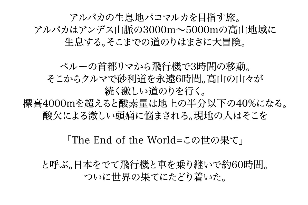 アルパカの生息地、を目指す旅